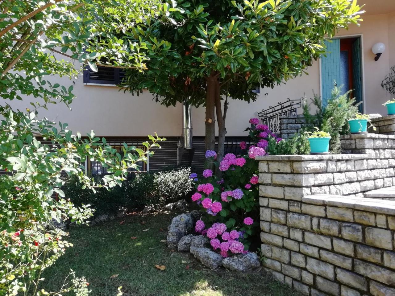 B&B Boutique Villa Terry 梅多拉戈 外观 照片